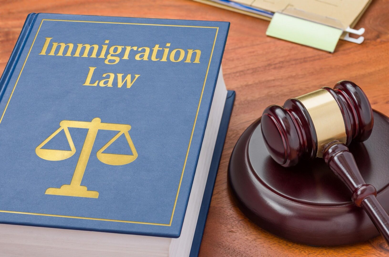 Immigration Law Clinic