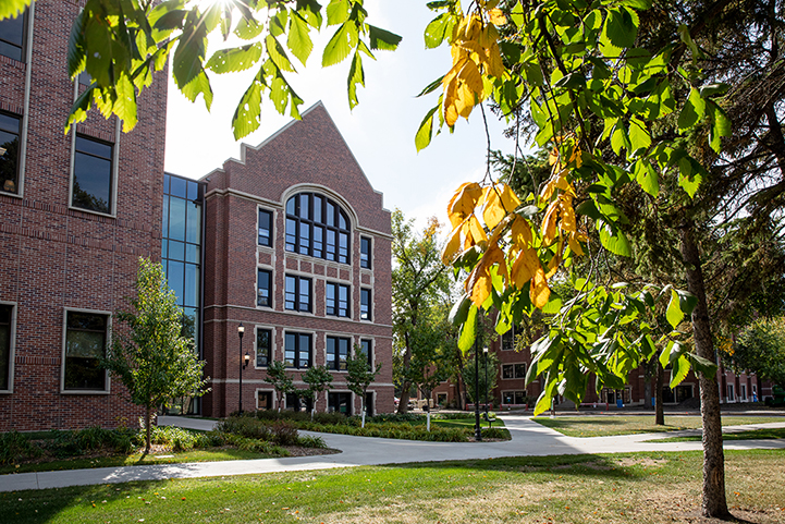 law building fall